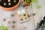 Blossombs Seed Bombs - Mini Geschenkset (4 stuks) - origineel en praktisch cadeau in één