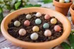 Blossombs Seed Bombs - Mini Geschenkset (4 stuks) - origineel en praktisch cadeau in één