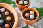 Blossombs Seed Bombs - Mini Geschenkset (4 stuks) - origineel en praktisch cadeau in één