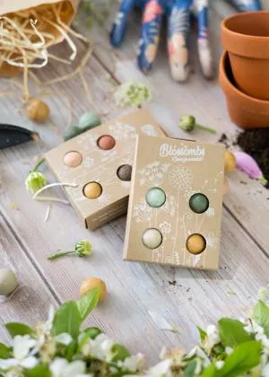 Blossombs Seed Bombs - Mini Cadeauset 