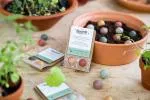 Blossombs Seed Bombs - klein geschenk (2 stuks) - origineel en praktisch geschenk in één