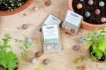 Blossombs Seed Bombs - klein geschenk (2 stuks) - origineel en praktisch geschenk in één