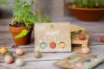 Blossombs Seed Bombs - klein geschenk (3 stuks) - origineel en praktisch geschenk in één