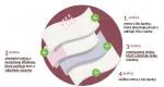 Organyc Biologisch katoenen menstruatieslip - ultra-absorberend XL