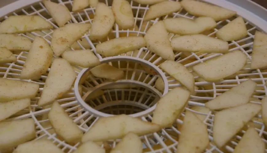 Hoe maak je perfecte gedroogde appelschijfjes direct uit de droogmachine