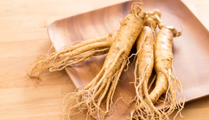 Welke ginseng geeft je energie en verbetert je prestaties?